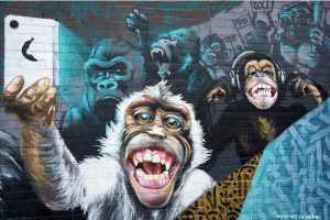 monkeys
