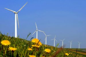 windmolenweiland